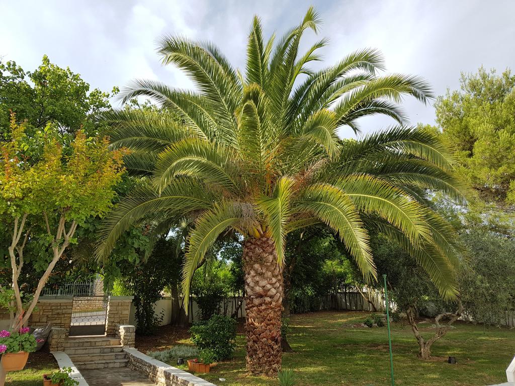 Villa Rosa With Yard And Children'S Playground Tar-Vabriga 외부 사진