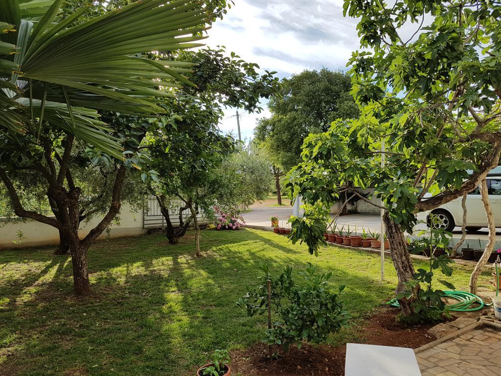 Villa Rosa With Yard And Children'S Playground Tar-Vabriga 외부 사진