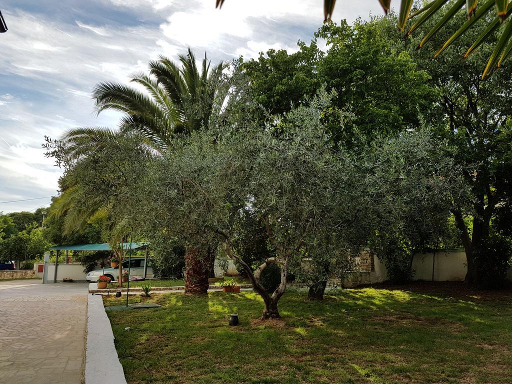Villa Rosa With Yard And Children'S Playground Tar-Vabriga 외부 사진